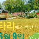 울타리식당 네이버블로그