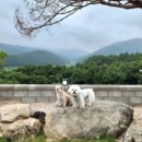 단산한옥펜션 이미지