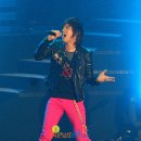 대성관광㈜ 이미지