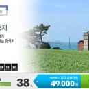 바다빛둥지