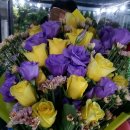 가람농원 이미지