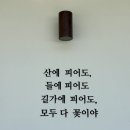 카페;좋아라