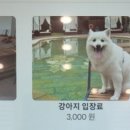 용북길 네이버블로그