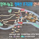 숲의조각 이미지
