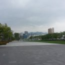 물보라마켓 이미지