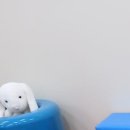 거묵프라자6 네이버블로그