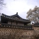 도립리 육괴정 이미지