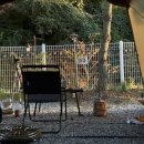 달꿈 오토캠핑장 이미지