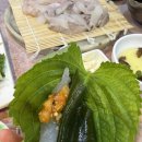 응구 | 전주 송천동 먹자골목 활어횟집 섬세꼬시