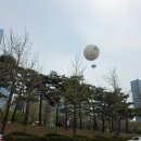 2025 영등포 여의도 봄꽃축제 4/10목요일 풍경 저렴주차장 추천
