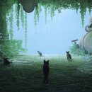 스트레이(STRAY)