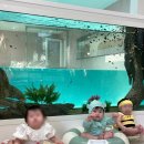 피코 키즈풀빌라 부산 이미지