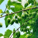 스테이 서종 이미지