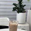 모브커피 이미지