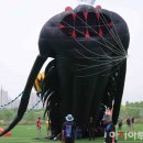 바다연 아시아투데이