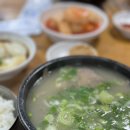 장기식당 | [내돈내산 / 포항 맛집] 장기식당 N번 다녀온 후기