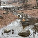 봄마중(2월에는) 이미지