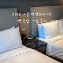 메종동물병원 | 콘래드 서울 펫밀리케이션(펫메종) 후기 (디럭스 펫동반 장애인 친화 객실 씨티뷰/룸 컨디션/펫...