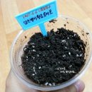 황금마트와 황금커피 이미지