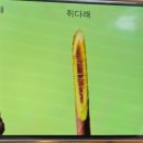 2026. 8월 정모 가평 화야산 탐사를 마치고(느티나무반) 이미지