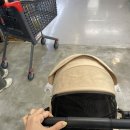 롯데마트 울산점 앞 이미지