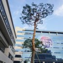 대구서동초등학교 이미지