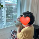 정들었던 산후 도우미 이모님과의 기록❄️(마포구 산후도우미 후기)