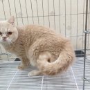 동부 동물병원 이미지