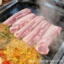 싱싱도야지 이미지