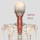 마천한의원 이미지