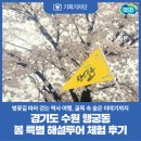 봄의마을 청소년문화센터 | [기회기자단] 경기도 수원 행궁동 봄 특별 해설투어 체험 후기