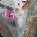 GS25 영종한라점 | [ 칠성 꽃 시장 ]-당일 부케 만들기, 영업시간, 부케 가격, 대구 꽃 백화점