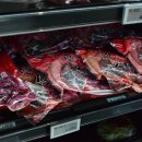 싱싱꼬기 이미지