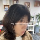 박 헤어컷
