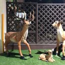 대자연유치원 이미지