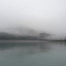 다운타운 이미지