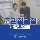 법률사무소다연