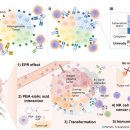 씨유무의점 이미지