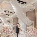 비비호텔 | 더링크호텔 화이트홀, 비마이비비 밝은홀 본식스냅 촬영 후기