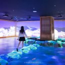 제주월드컵경기장 서귀포시실내암장 | 제주 실내 가볼만한곳 서귀포 워터월드 제주도 아이와 놀거리