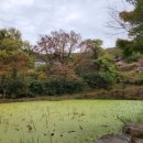 (주)본궁 이미지