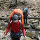 숲속정원 이미지