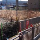 조암동물병원 이미지