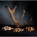 다스림한의원 이미지