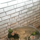 펍아지트(Pub-AZIT) 이미지