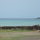 CU김해한림신천점 | 3박 4일 제주도 뚜벅이 가족여행 일정 및 세부 경비표 공유