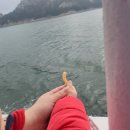 정다운 | 군산 신시도 민박, 1박 2일 찐 후기 [정다운 횟집]