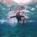 스테이 서하 | 블챌과 함께 요즘의 근황 start