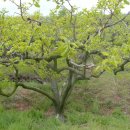 문화농장 이미지