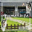 계림로 | 경주 금리단길 가성비 숙소 앨리게스트하우스 내돈내산 예약후기 (1인실 개별욕실)